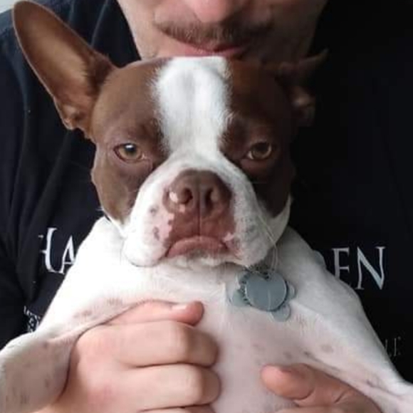 Meet your Posher, Nena - Picture 9 of 16